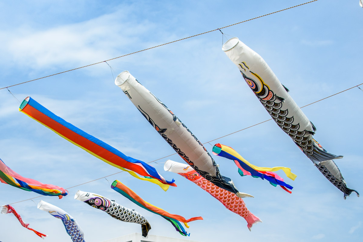 春のこいのぼり流し